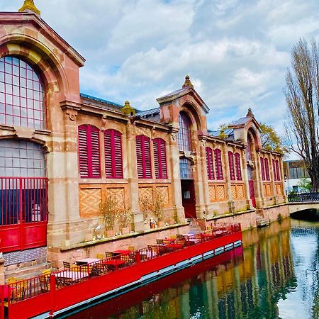 Appartement Spacieux A Colmar Avec Terrasse, Garage Privatif, Proche Centre Et Gare - Fr-1-722-2 エクステリア 写真
