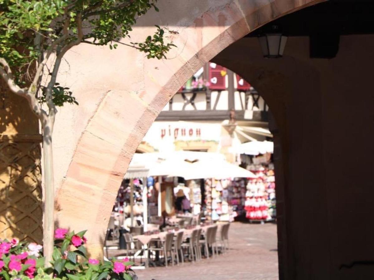 Appartement Spacieux A Colmar Avec Terrasse, Garage Privatif, Proche Centre Et Gare - Fr-1-722-2 エクステリア 写真