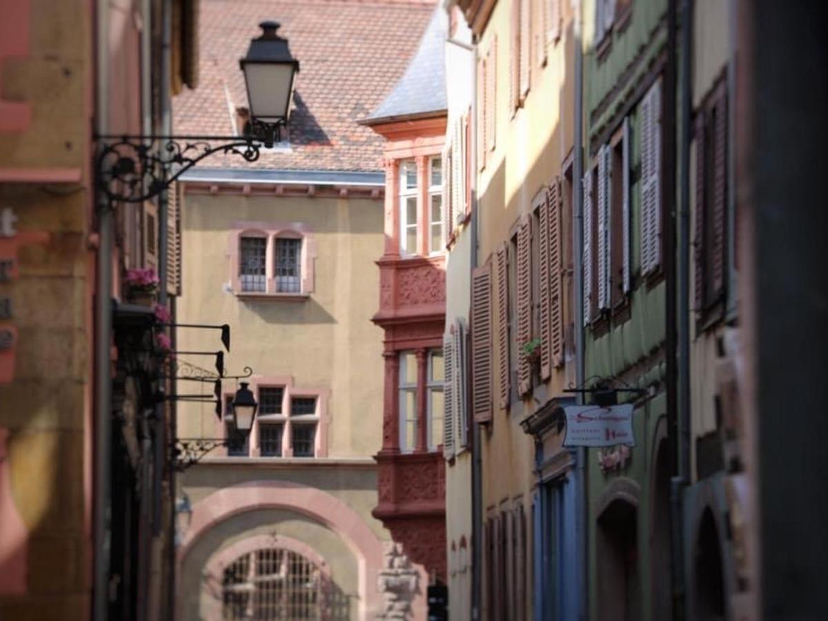 Appartement Spacieux A Colmar Avec Terrasse, Garage Privatif, Proche Centre Et Gare - Fr-1-722-2 エクステリア 写真
