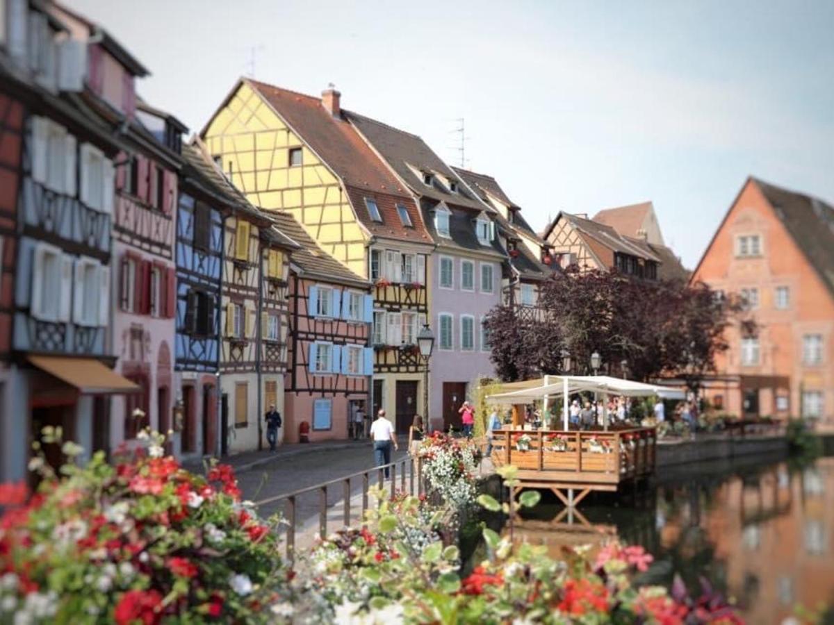Appartement Spacieux A Colmar Avec Terrasse, Garage Privatif, Proche Centre Et Gare - Fr-1-722-2 エクステリア 写真